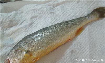 客人|黄鱼汤配雪菜也是一道名菜,学会了招待客人