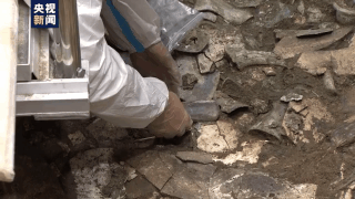 金面罩|来！一起见证三星堆新文物玉凿、铜尊等提取瞬间