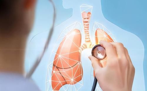 东方神果|小小一颗是润肺高手！常吃能止咳化痰、清热明目，秋季吃它正当季