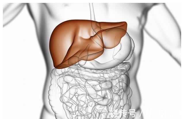 肝细胞|乙肝会发展成肝硬化?医生:想要控制好,记住这六点