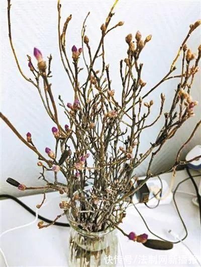 又出现了，别再买了!