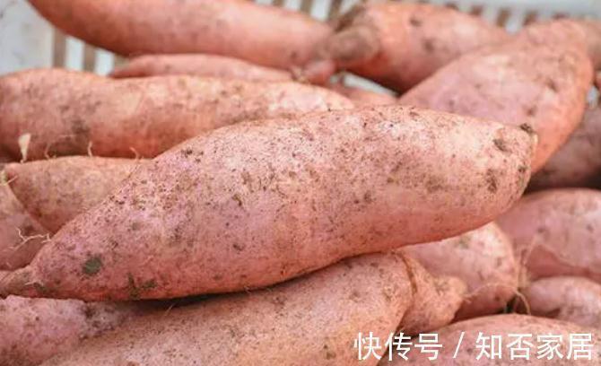 秋天别乱吃,多吃5种食材,顺应时节安稳过秋季,分享菜谱请收好