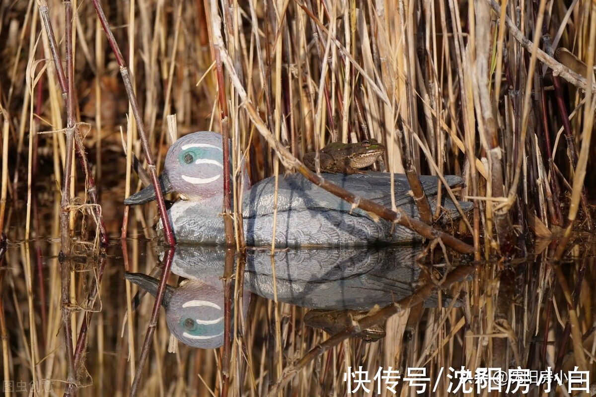 总和|售楼员说的100平房子,交房却只有80平,相差的面积哪去了