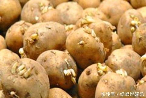 土豆发芽千万别扔!用处太大,99人都不知道,现在知道还不晚