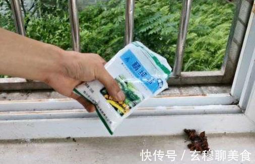 窗户滑道灰尘多太脏了,教你一招就能干净如初,简单方便又快捷
