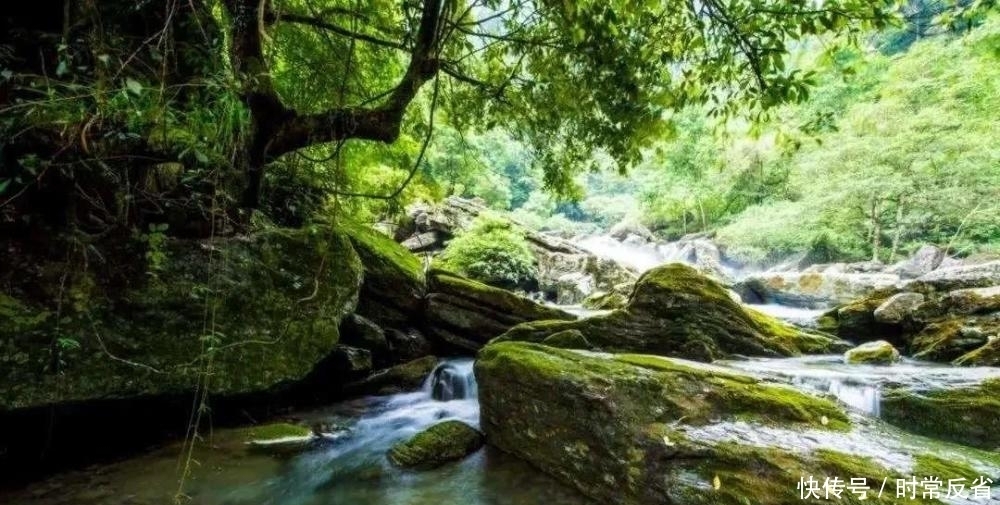 杨万里|皇帝亲自赐名的南宋诗人,同时代两位国学大师是他的粉丝