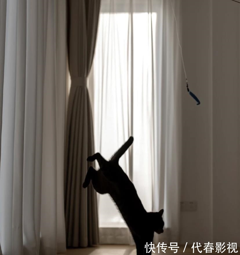 氛围感|LDK一体化,凭什么笼络人心?宽敞明亮,提高每1㎡利用率,绝了