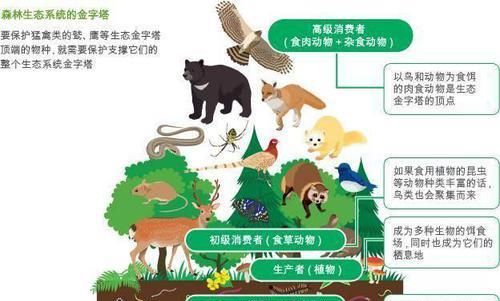 地球真的会在这个世纪达到环境临界点吗？到时人类会灭绝吗？