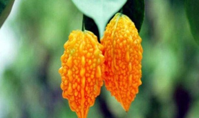 护肤|好食物吃出好身体,推荐以下3种果蔬,护肤养颜,增加皮肤弹性