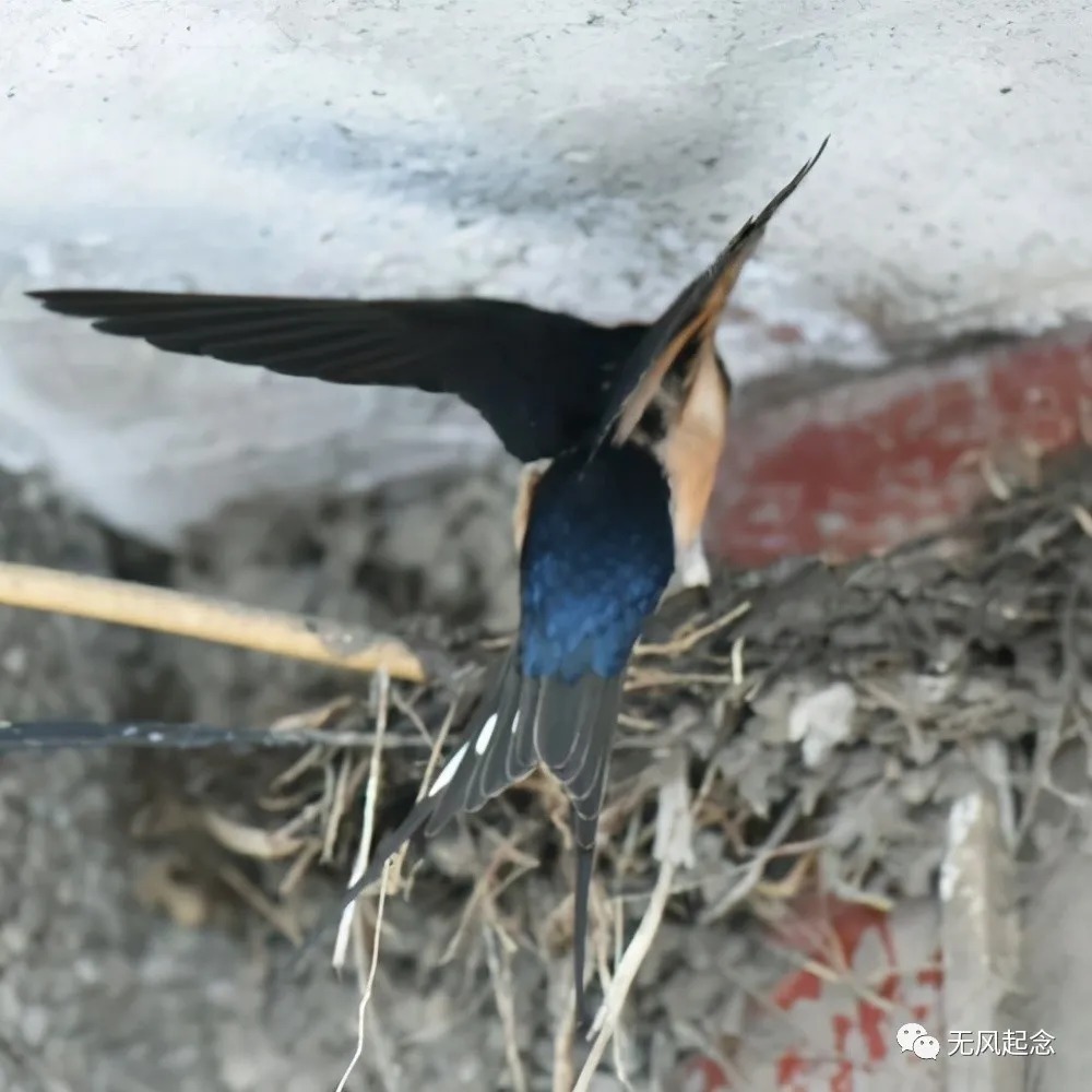 上海辞书出版社#才子与心上人久别重逢写下奇文,共28字全是叠字,令人拍案叫绝