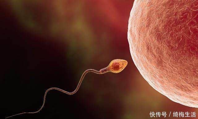 时间段|早晨、中午和晚上,哪一个时间段最容易怀孕很多人都想错了