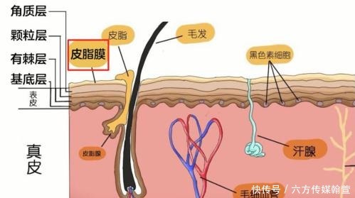 不洗脸真的能让皮肤变好吗?