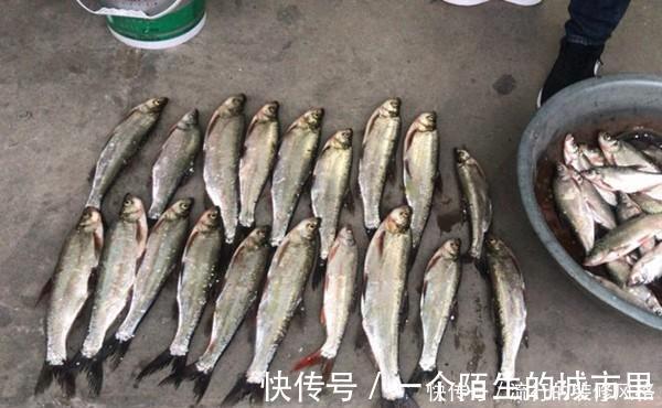 手竿钓翘嘴的三种方法,除了飞铅钓,还可以试试这两招