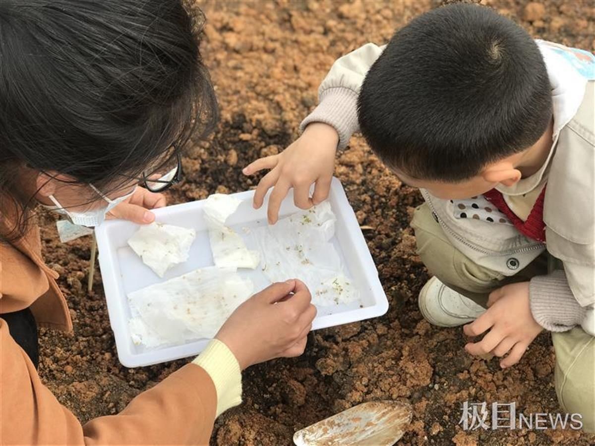 《是“根”还是“茎”？》，幼儿园里种下“梦想农场”