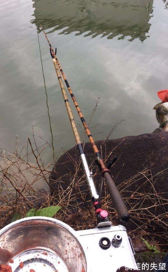 男人|男子野外无意钓出来这么大的鲫鱼，回家后得知真相后赶紧放生