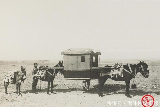 骡子|慈禧时代老照片：贵妇吸鸦片 骡子抬轿