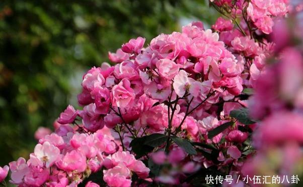 朋友关系|真正精明的人,从不轻易对人说4句话,难怪本事大福气足!