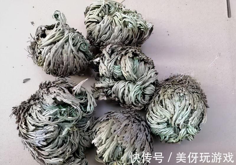 叶片|9种养不死的花，绿萝只能排最后，再养不活就剁手吧