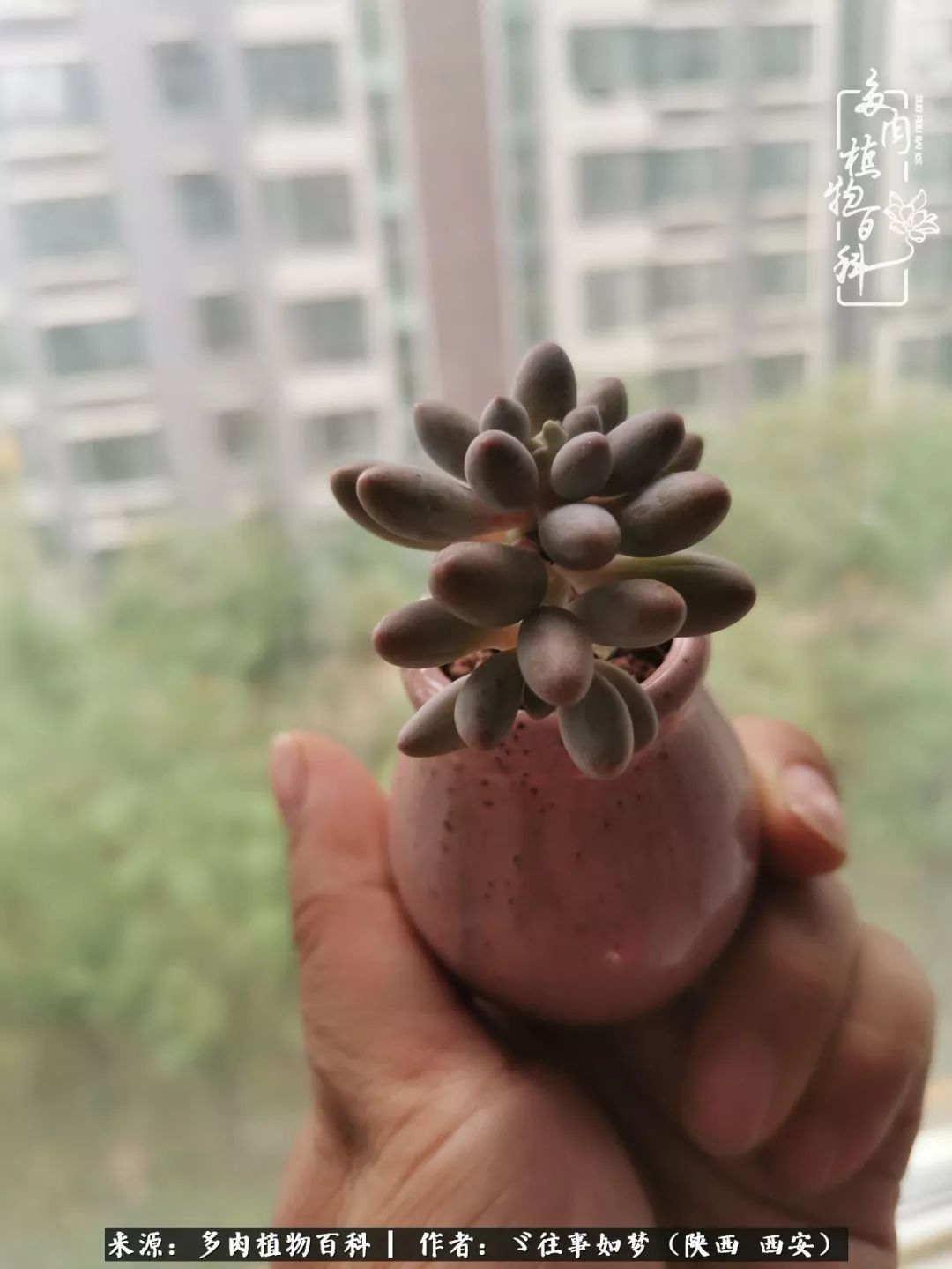 愿你付出甘之如饴,愿你所得归于欢喜!