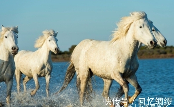 龙生肖龙|一家人有哪些生肖，9月会收入倍增，钱包鼓鼓，事业再创辉煌