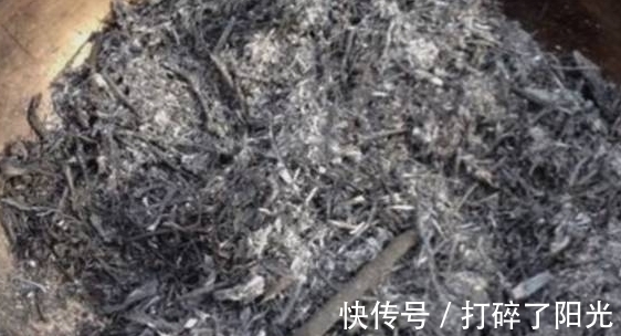 喷洒|快立春了,家里花草养得多就多备点它们,防范病虫害