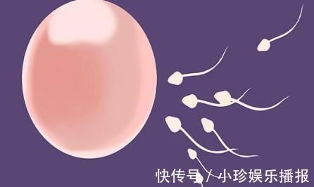 不孕不育|“卵子”流出时,女人是什么感觉?排出后的卵子,可以存活多久?