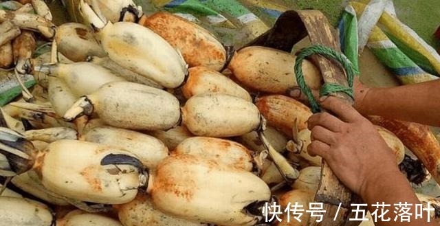 红薯|秋天少吃寒性食物,不妨多吃这5种食材,适合秋燥季节,要懂得吃!