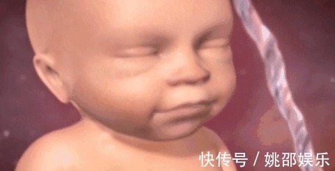 羊水|胎宝在妈妈肚子里无聊不?是时候告诉孕妈真相了,怪可爱的