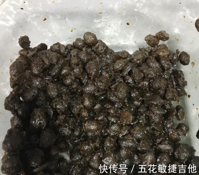 豆豉油渣炒白菜,咸香下饭,简单快手菜~!