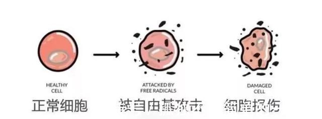 皮肤 女人不管多少岁,学会这5个“万能”护肤公式,养出好皮肤并不难!