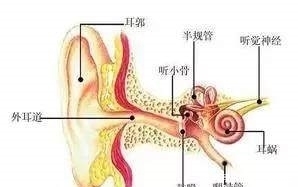 做好|怎么判断宝宝是否得中耳炎,小知识让您做好预防!