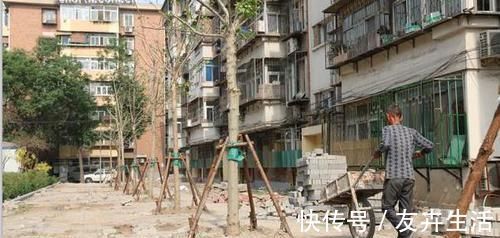二手房|买房别傻傻买二手房，我家当初不听劝，住进去倒霉事全来了