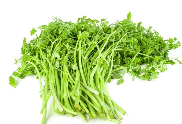 凉拌|65种野菜图片，带你认识不同的野菜和吃法，你想要的野菜这里都有