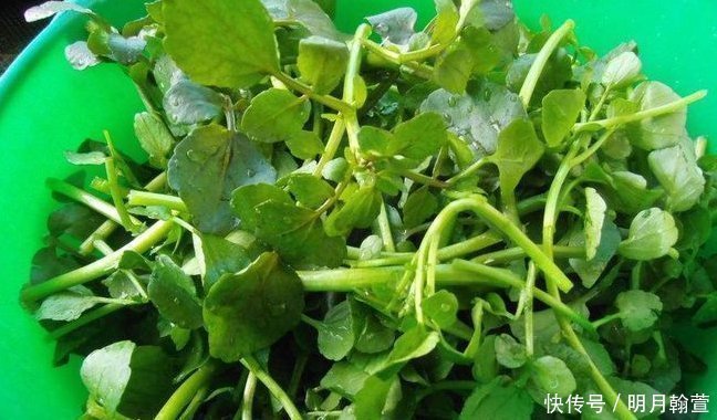 妇科炎症|女性不想老太快,多吃点此菜,补气血,去除色斑,妇科炎症悄悄溜