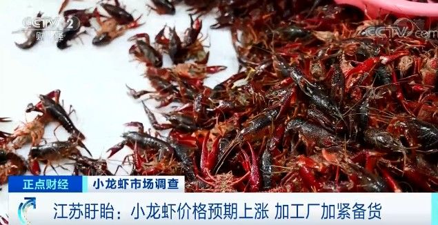 小龙虾|货源收紧！几近腰斩后，小龙虾价格反弹！还会再涨吗？