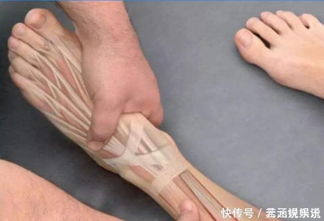 长高|学生这“3部位”越长,说明身高还能再“发育”,长大后妥妥的大高个