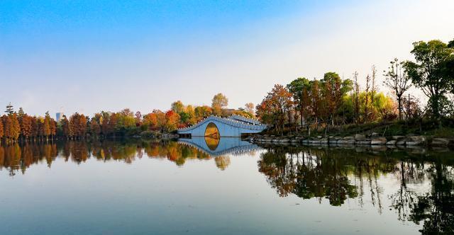 微刊|野草诗社微刊「2020年第十八期 大器唱大风」