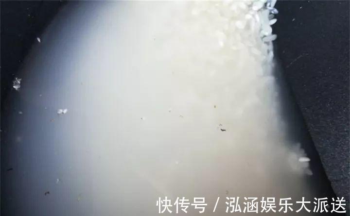 浇花|营养水家家都能做,不花一分钱,给花浇点就爆盆!