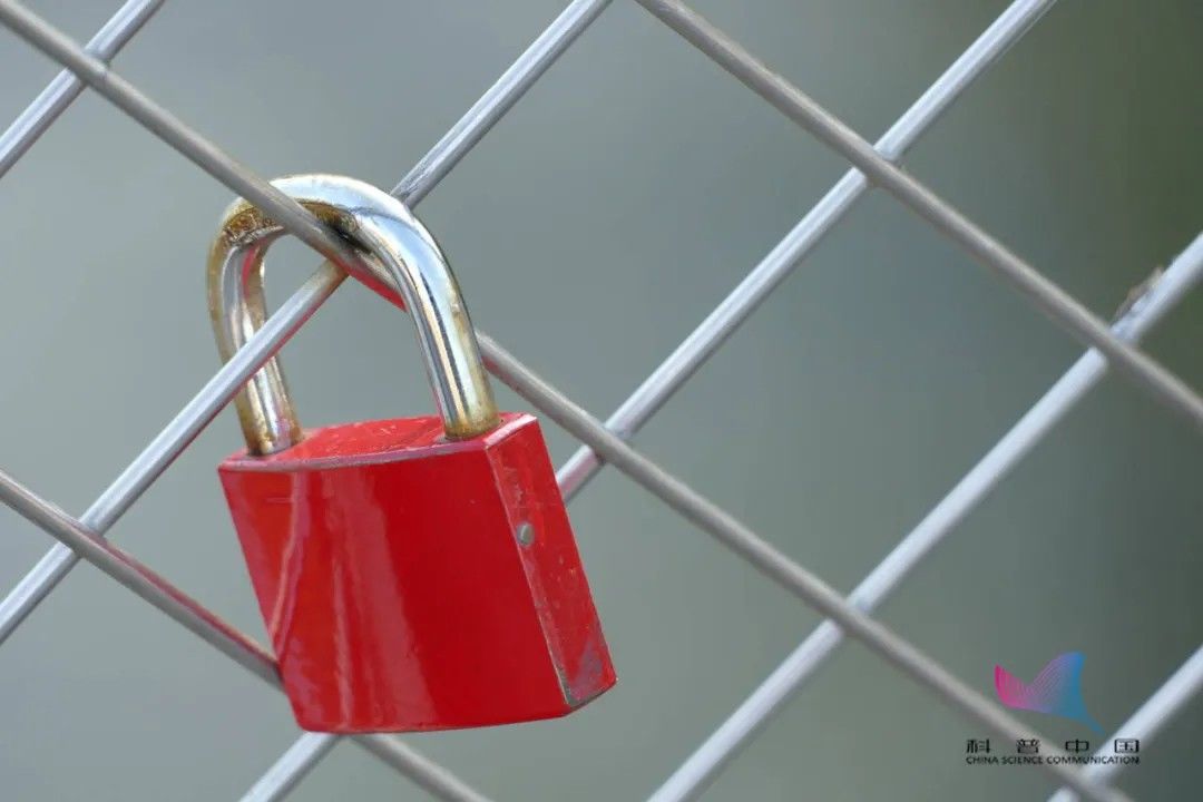 布料|穿了这么多年，终于知道牛仔裤上的小口袋是干啥用的了