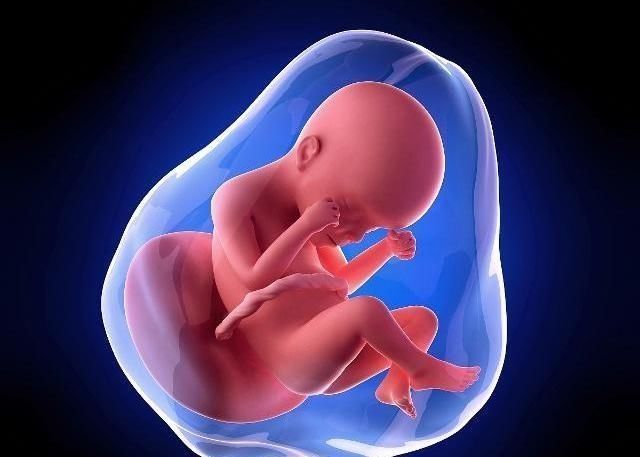 宝妈|胎儿大小可能和这些因素有关,孕妈最好别只是控制体重,早知早好