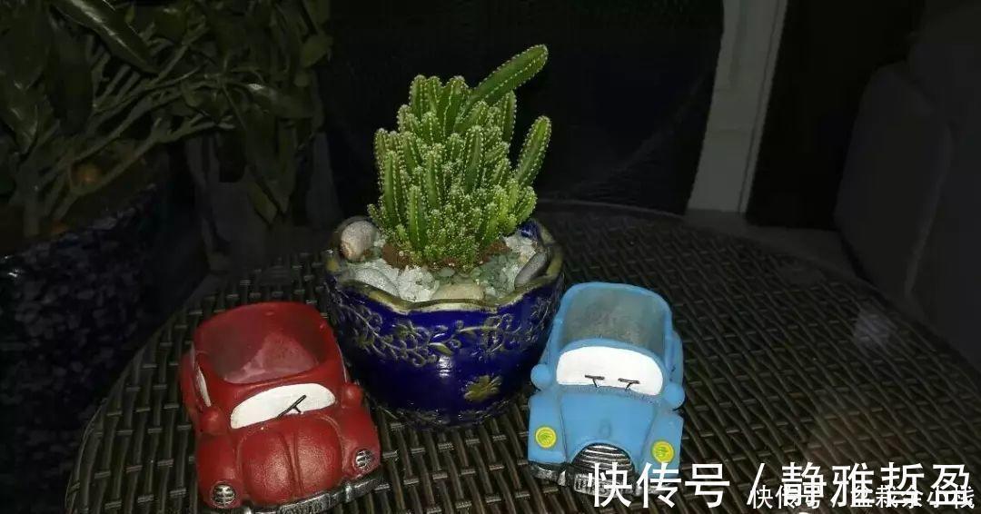 买的花盆又贵又难看？花花教你自制花盆，省钱又漂亮！