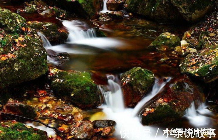 荷塘月色|王维这首诗太美, 每一句都令人心醉!