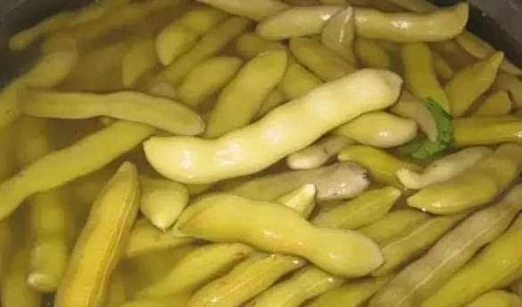 圣手|农村一野菜,是“护腰圣手”,治腰脊酸痛,清热凉血,了解下