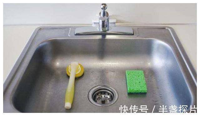洗洁精|厨房3样东西细菌滋生飞快,要注意定期清洁,别毁了健康