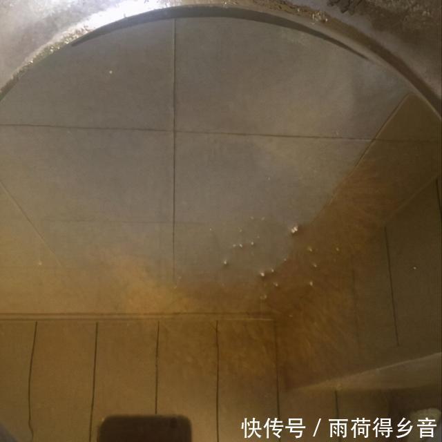 出新|广式早茶的经典之作,鸡爪也能吃出新高度,全靠这一手烹饪技巧!