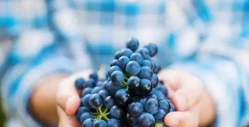 乳制品|孩子经常吃这些东西,会导致儿童“早熟”,父母不要再给孩子吃了