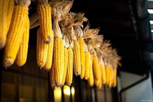 食物|吃5种主食,或能让你瘦下来,第一种食物可以多吃一些