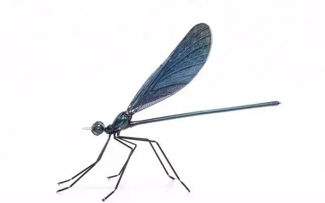 完美|艺术家变废为宝,将各种垃圾收集起来,创作出了完美的艺术品