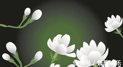 茉莉花|这种皮做成的肥水,养茉莉花,一个月长花苞,连开两次