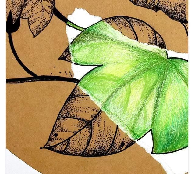  儿童画|儿童画教程一张纸上的两种表现方式--美丽的牵牛花